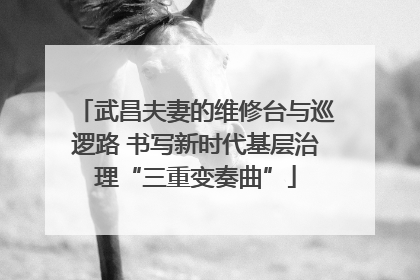 武昌夫妻的维修台与巡逻路 书写新时代基层治理“三重变奏曲”