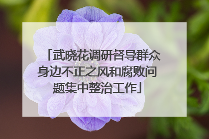 武晓花调研督导群众身边不正之风和腐败问题集中整治工作