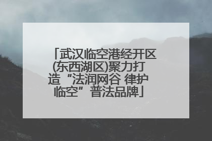 武汉临空港经开区(东西湖区)聚力打造“法润网谷 律护临空”普法品牌