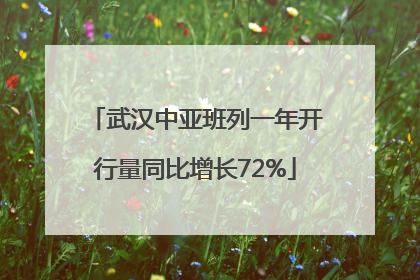武汉中亚班列一年开行量同比增长72%