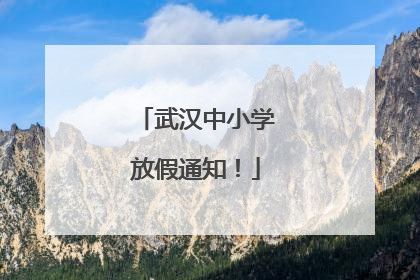 武汉中小学放假通知！
