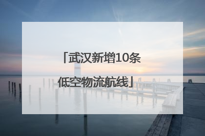 武汉新增10条低空物流航线