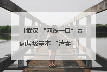 武汉 “四线一口”暴露垃圾基本 “清零”