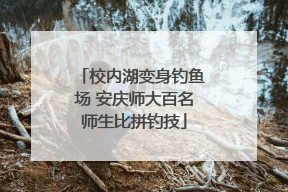校内湖变身钓鱼场 安庆师大百名师生比拼钓技