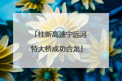 桂新高速宁远河特大桥成功合龙