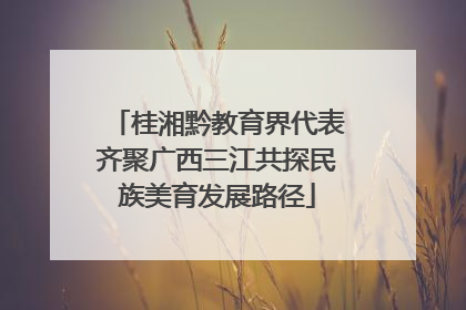 桂湘黔教育界代表齐聚广西三江共探民族美育发展路径