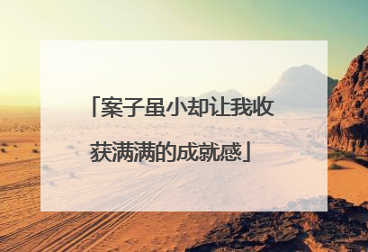 案子虽小却让我收获满满的成就感