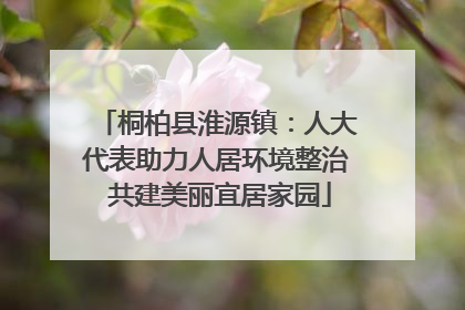 桐柏县淮源镇：人大代表助力人居环境整治 共建美丽宜居家园