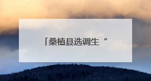 桑植县选调生“湘”村微党课宣讲活动走进沙塔坪乡沙塔坪村