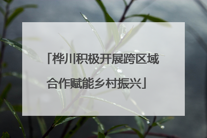 桦川积极开展跨区域合作赋能乡村振兴
