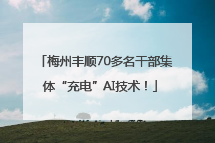 梅州丰顺70多名干部集体“充电”AI技术！