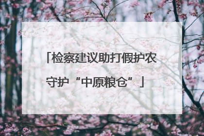 检察建议助打假护农守护“中原粮仓”