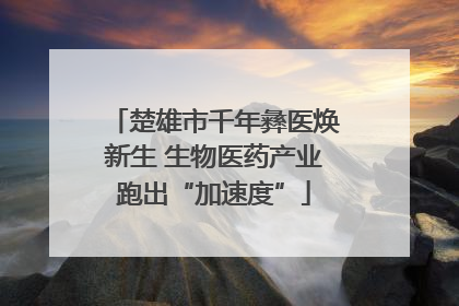 楚雄市千年彝医焕新生 生物医药产业跑出“加速度”