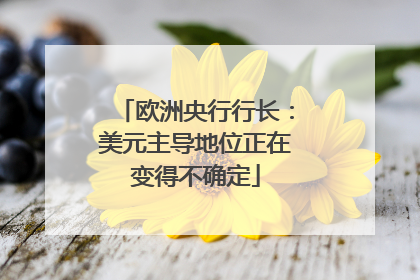 欧洲央行行长：美元主导地位正在变得不确定