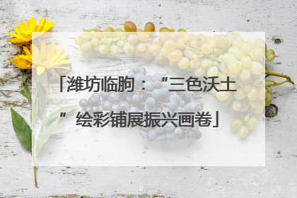 潍坊临朐：“三色沃土”绘彩铺展振兴画卷