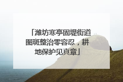 潍坊寒亭固堤街道图斑整治零容忍，耕地保护见真章