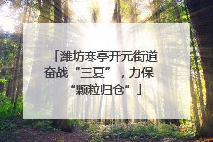 潍坊寒亭开元街道奋战“三夏”，力保“颗粒归仓”