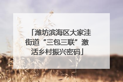 潍坊滨海区大家洼街道“三包三联”激活乡村振兴密码