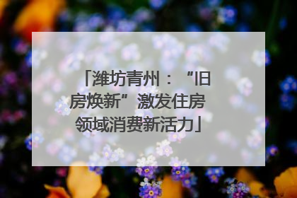 潍坊青州：“旧房焕新”激发住房领域消费新活力