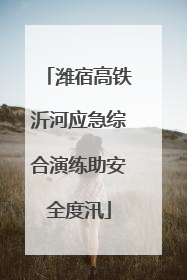 潍宿高铁沂河应急综合演练助安全度汛