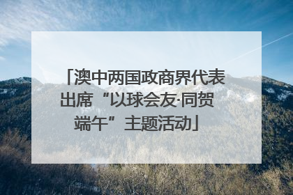 澳中两国政商界代表出席“以球会友·同贺端午”主题活动