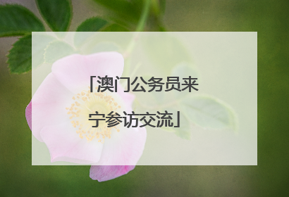 澳门公务员来宁参访交流
