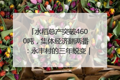 水稻总产突破4600吨，集体经济翻两番：永丰村的三年蜕变｜您牵挂的四川