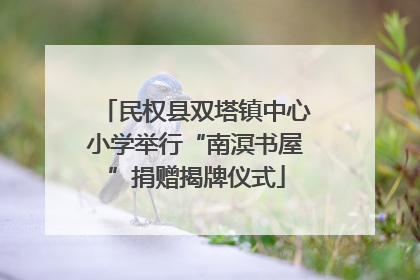 民权县双塔镇中心小学举行“南溟书屋”捐赠揭牌仪式