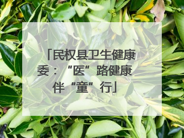 民权县卫生健康委：“医”路健康伴“童”行