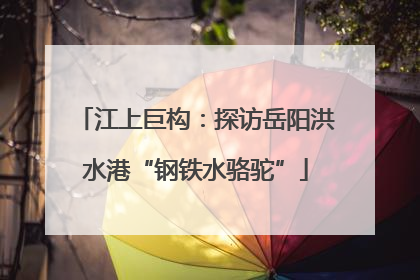 江上巨构：探访岳阳洪水港“钢铁水骆驼”
