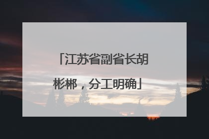 江苏省副省长胡彬郴，分工明确