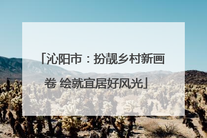 沁阳市：扮靓乡村新画卷 绘就宜居好风光