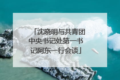 沈晓明与共青团中央书记处第一书记阿东一行会谈
