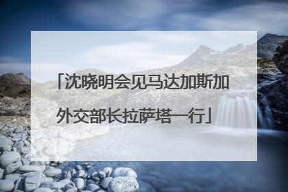 沈晓明会见马达加斯加外交部长拉萨塔一行