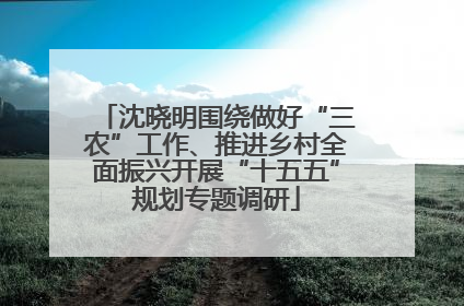 沈晓明围绕做好“三农”工作、推进乡村全面振兴开展“十五五”规划专题调研
