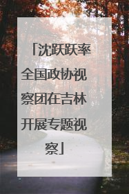 沈跃跃率全国政协视察团在吉林开展专题视察