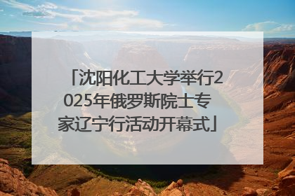 沈阳化工大学举行2025年俄罗斯院士专家辽宁行活动开幕式