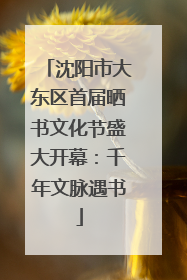 沈阳市大东区首届晒书文化节盛大开幕：千年文脉遇书