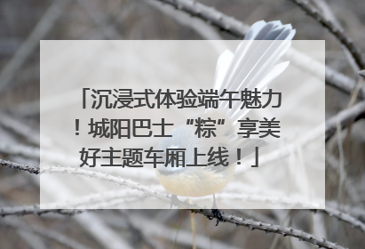 沉浸式体验端午魅力！城阳巴士“粽”享美好主题车厢上线！