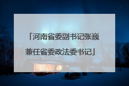 河南省委副书记张巍兼任省委政法委书记