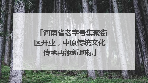 河南省老字号集聚街区开业，中原传统文化传承再添新地标