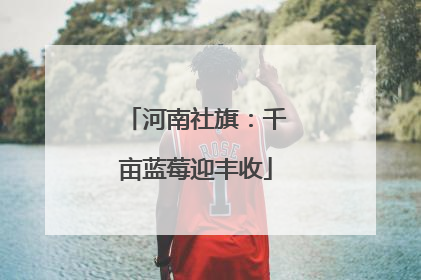 河南社旗：千亩蓝莓迎丰收