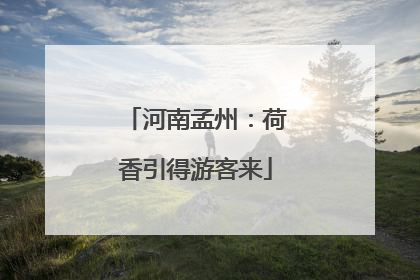 河南孟州：荷香引得游客来