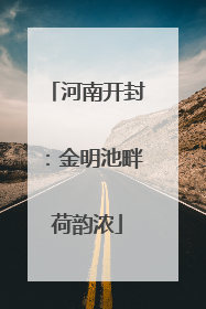 河南开封：金明池畔荷韵浓