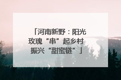 河南新野：阳光玫瑰“串”起乡村振兴“甜蜜链”