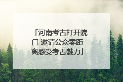 河南考古打开院门 邀请公众零距离感受考古魅力