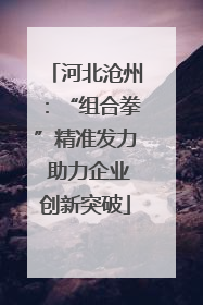 河北沧州：“组合拳”精准发力 助力企业创新突破