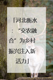 河北衡水：“交农融合”为乡村振兴注入新活力