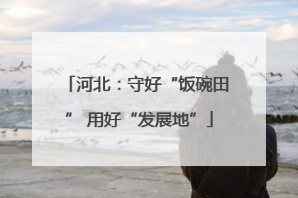 河北：守好“饭碗田” 用好“发展地”