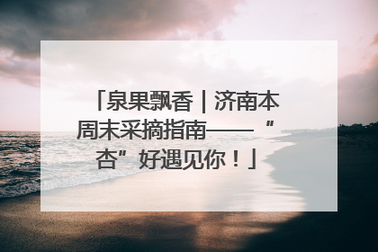 泉果飘香｜济南本周末采摘指南——“杏”好遇见你！